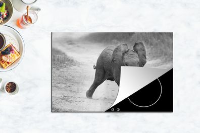Herdabdeckplatte - 80x52 cm - Baby-Elefant zu Fuß in den Sand in schwarz und weiß