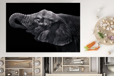 Herdabdeckplatte - 78x52 cm - Elefant mit Rüssel im Maul in Schwarz und Weiß