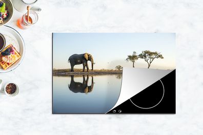 Herdabdeckplatte - 80x52 cm - Elefant an einem See