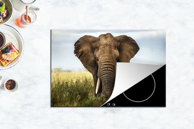 Herdabdeckplatte - 78x52 cm - Bedrohender Elefant