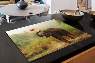 Herdabdeckplatte - 80x52 cm - Reinigung Elefant