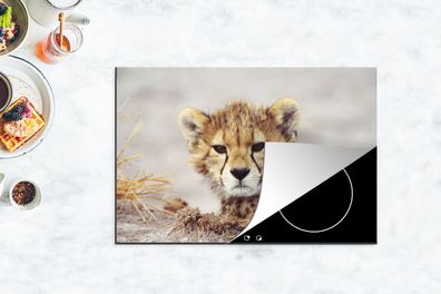 Herdabdeckplatte - 78x52 cm - Gepard - Jung - Porträt