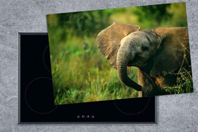 Herdabdeckplatte - 80x52 cm - Afrikanischer Elefant mit Schlappohren