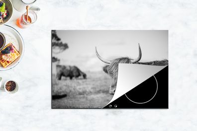 Herdabdeckplatte - 78x52 cm - Schottischer Highlander - Tiere - Schwarz - Weiß