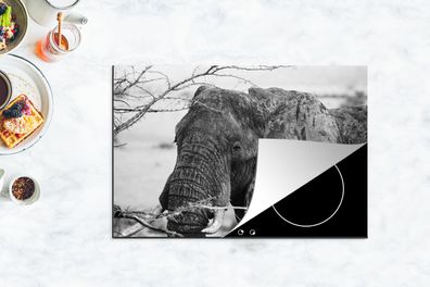 Herdabdeckplatte - 78x52 cm - Nahaufnahme eines afrikanischen Elefanten in Schwarz-We