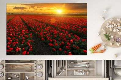 Herdabdeckplatte - 80x52 cm - Rote Tulpen in den Niederlanden