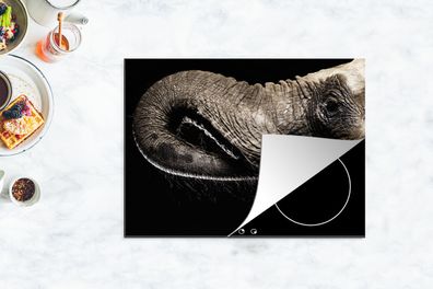 Herdabdeckplatte - 70x52 cm - Porträt eines Elefanten mit seinem Rüssel im Maul