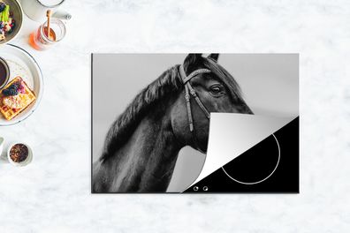 Herdabdeckplatte - 78x52 cm - Pferd - Halfter - Porträt