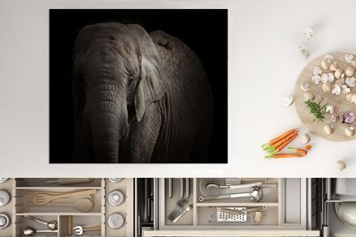 Herdabdeckplatte - 75x52 cm - Porträt eines Elefanten auf dunklem Hintergrund