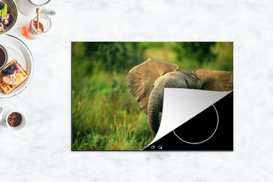Herdabdeckplatte - 78x52 cm - Afrikanischer Elefant mit Schlappohren