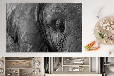 Herdabdeckplatte - 80x52 cm - Schwarz-Weiß-Nahaufnahme eines Elefanten