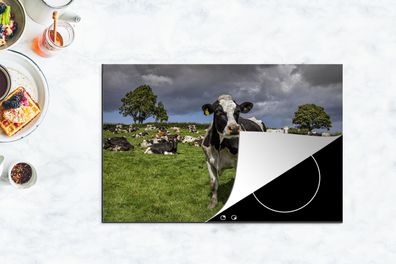 Herdabdeckplatte - 80x52 cm - Kühe - Tiere - Friesisch