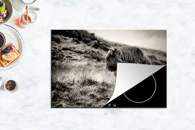 Herdabdeckplatte - 78x52 cm - Schottischer Highlander - Kühe - Schwarz - Weiß