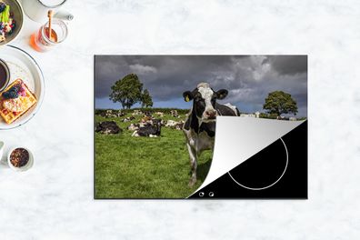Herdabdeckplatte - 78x52 cm - Kühe - Tiere - Friesisch
