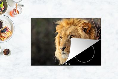 Herdabdeckplatte - 78x52 cm - Löwe - Profil - Jagen