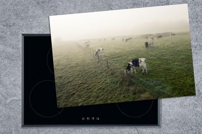 Herdabdeckplatte - 78x52 cm - Kühe - Nebel - Friesland