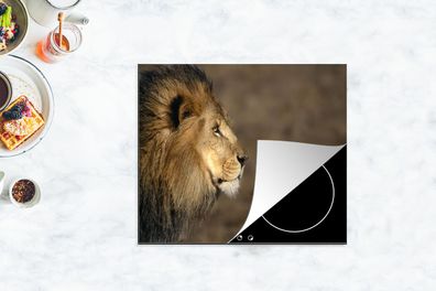 Herdabdeckplatte - 75x52 cm - Profil - Löwe - Afrika