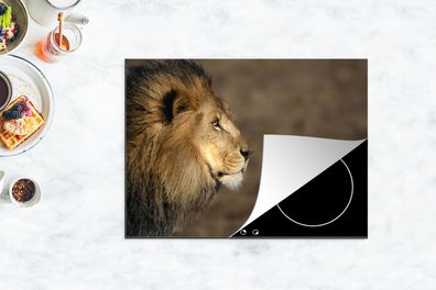 Herdabdeckplatte - 70x52 cm - Profil - Löwe - Afrika