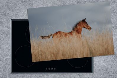 Herdabdeckplatte - 80x52 cm - Pferd - Luft - Gras