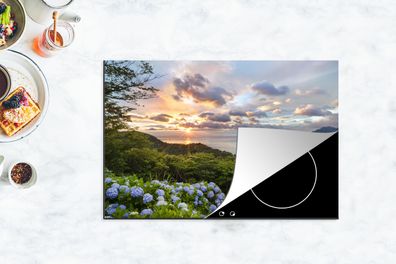 Herdabdeckplatte - 78x52 cm - Meerblick und Hortensien