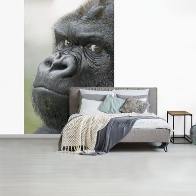 Fototapete - 225x350 cm - Ein erstaunlicher Gorilla (Gr. 225x350 cm)