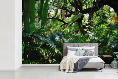 Fototapete - 330x220 cm - Schöne Muster von Blättern und Bäumen in einem Regenwald