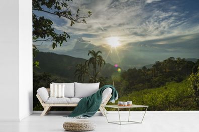 Fototapete - 420x280 cm - Glühende Sonne strahlt auf Perus dichte Regenwälder
