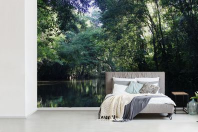 Fototapete - 330x220 cm - Spiegelung eines Regenwaldes in einem Fluss in Brasilien
