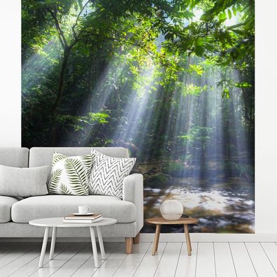 Fototapete - 300x300 cm - Sonnenstrahlen dringen durch die Bäume in den Regenwald in