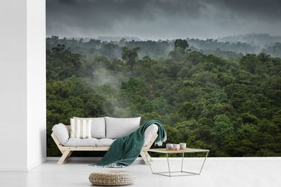Fototapete - 330x220 cm - Dunkler Himmel zieht über einen nebligen Regenwald in Thail