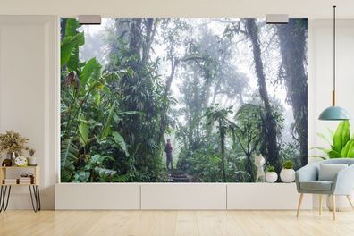 Fototapete - 420x280 cm - Eine Treppe durch den nebligen tropischen Regenwald von Cos