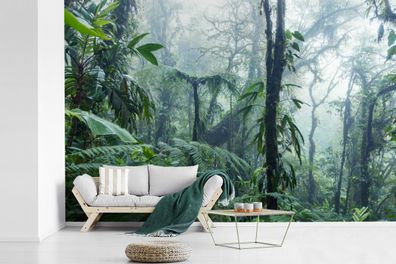 Fototapete - 330x220 cm - Ein nebliger Regenwald in Costa Rica (Gr. 330x220 cm)