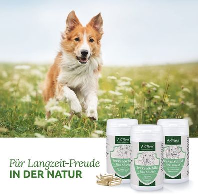 AniForte® ZeckenSchild natürliche Zeckenabwehr für mittelgroße Hunde von 10-35 k