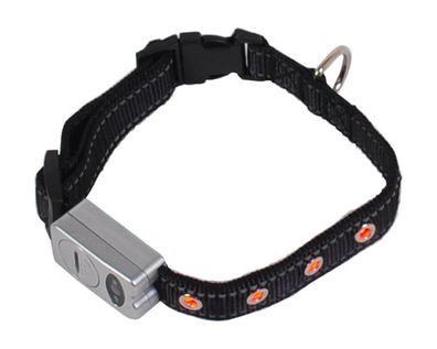LED Sicherheits-Hundehalsband Blinklicht Reflektionsstreifen 40-46cm Leuchtband