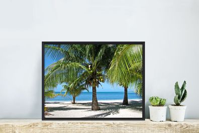 Poster - 40x30 cm - Palmen und der perlweiße Strand von Glover's Reef (Gr. 40x30 cm)
