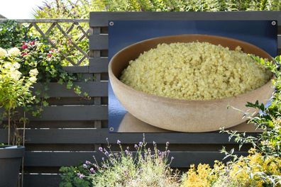Gartenposter - 120x80 cm - Eine Nahaufnahme des Superfoods Quinoa in einer Holzschale