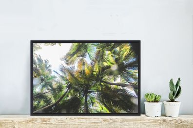 Poster - 60x40 cm - Palmen im Glover's Reef von Belize (Gr. 60x40 cm)