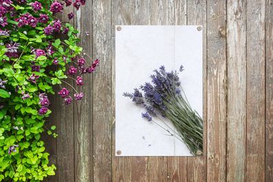 Gartenposter - 40x60 cm - Geernteter medizinischer Lavendel auf Marmor (Gr. 40x60 cm)