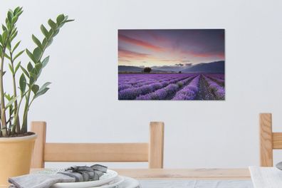 Leinwandbilder - 30x20 cm - Sonnenuntergang über Lavendel (Gr. 30x20 cm)