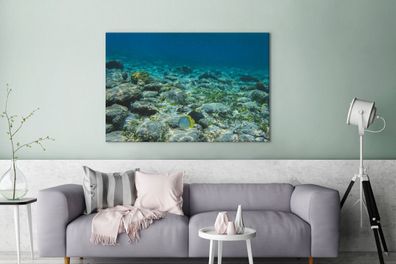 Leinwandbilder - 140x90 cm - Das Riff des Glover's Reef in Belize (Gr. 140x90 cm)