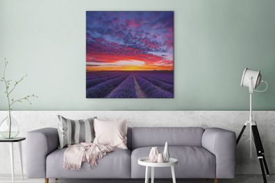 Leinwandbilder - 90x90 cm - Lavendelfeld bei Sonnenuntergang (Gr. 90x90 cm)