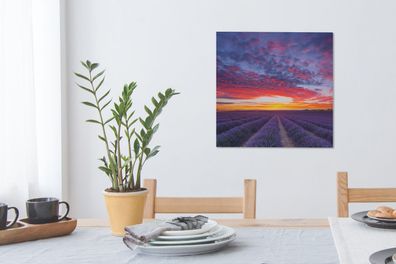Leinwandbilder - 50x50 cm - Lavendelfeld bei Sonnenuntergang (Gr. 50x50 cm)