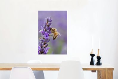 Glasbilder - 40x60 cm - Biene auf Lavendel (Gr. 40x60 cm)