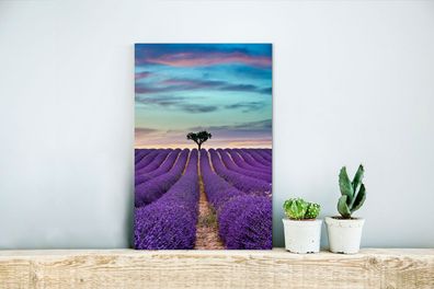 Glasbilder - 20x30 cm - Lavendelfeld bei Sonnenuntergang mit Baum am Horizont