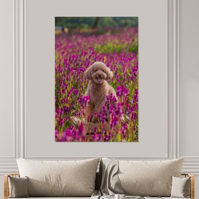 Glasbilder - 100x150 cm - Hund - Blumen - Lavendel - Frühling (Gr. 100x150 cm)