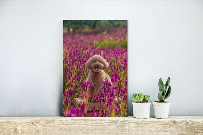 Glasbilder - 20x30 cm - Hund - Blumen - Lavendel - Frühling (Gr. 20x30 cm)
