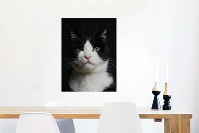 Glasbilder - 60x80 cm - Katze - Schwarz - Weiß (Gr. 60x80 cm)