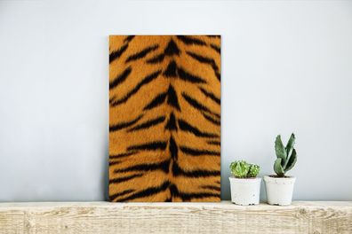 Glasbilder - 20x30 cm - Mantel - Tiger - Tiere (Gr. 20x30 cm)