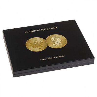 Leuchtturm Münzkassette Münzbox für 30 x 1 Oz Maple Leaf Gold Münzen 365159