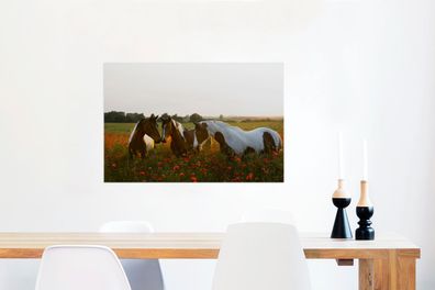 Glasbilder - 90x60 cm - Pferde - Blumen - Sonne (Gr. 90x60 cm)